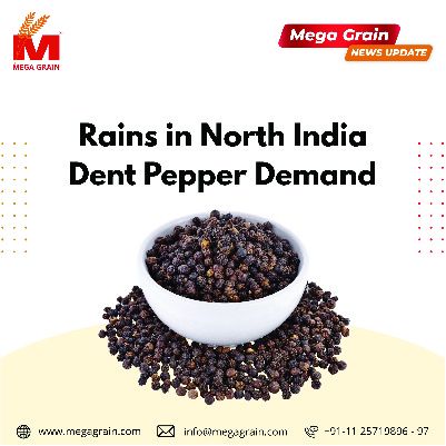 Rains in North India Dent Pepper Demand