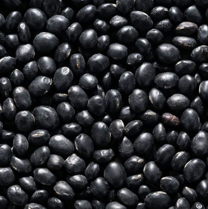 Black Beans
