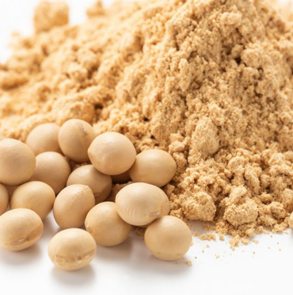 Soy Protein