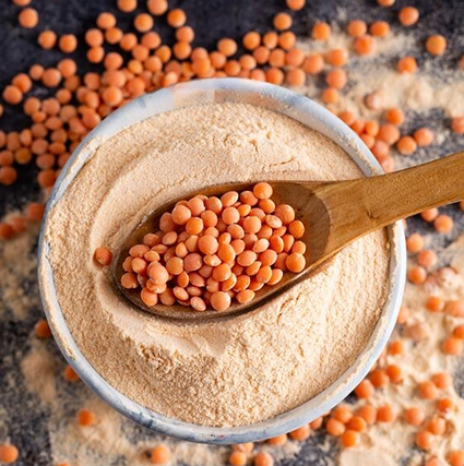 Lentil Flour
