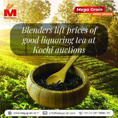 Blenders lift prices of good liquoring tea at Kochi auctions
