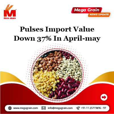 Pulses import value down 37% in April-May