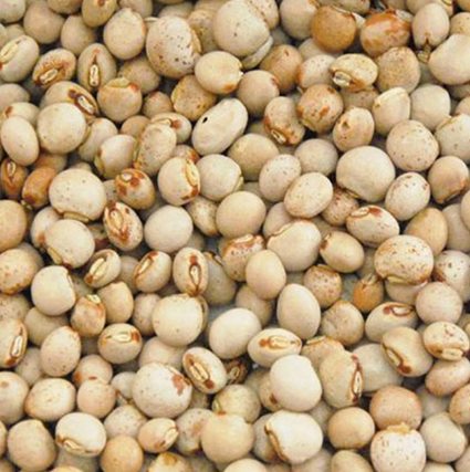 Pigeon Peas