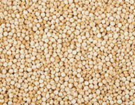 Quinoa seeds
