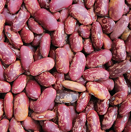 Red Speckled Kidney Beans