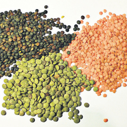 Lentil Fiber