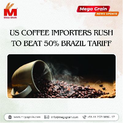 US coffee importers rush to beat 50% Brazil tariff