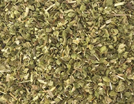 Oregano