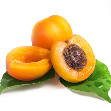 Apricot