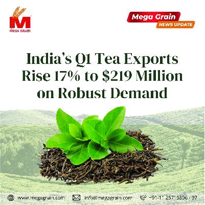 India&rsquo;s Q1 tea shipments up 17% at $219 million on strong demand