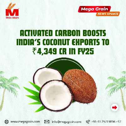 Activated carbon rides on India&rsquo;s coconut product exports to fetch ₹4,349 crore in FY25