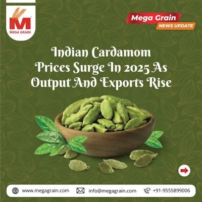 Indian Cardamom Prices Surge in 2025