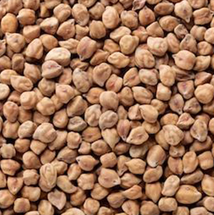 Desi Chickpeas