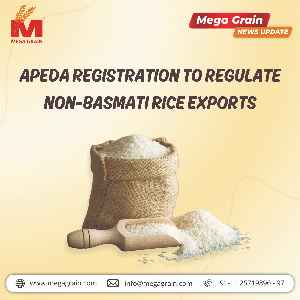 APEDA registration to regulate non-basmati rice exports
