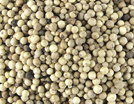 White Pepper