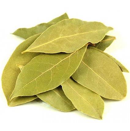 Bay Leaf