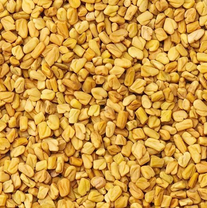 Fenugreek Seeds