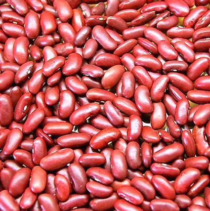 Red Kidney Beans