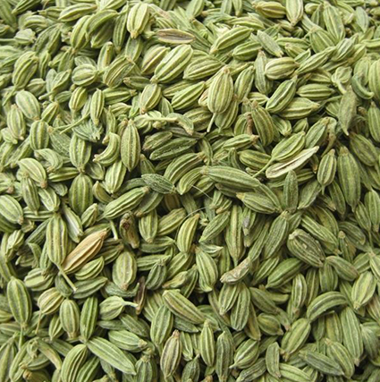 Fennel Seed