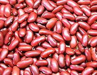 Red Kidney Beans