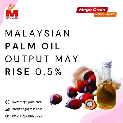 Malaysian palm oil output may rise 0.5%
